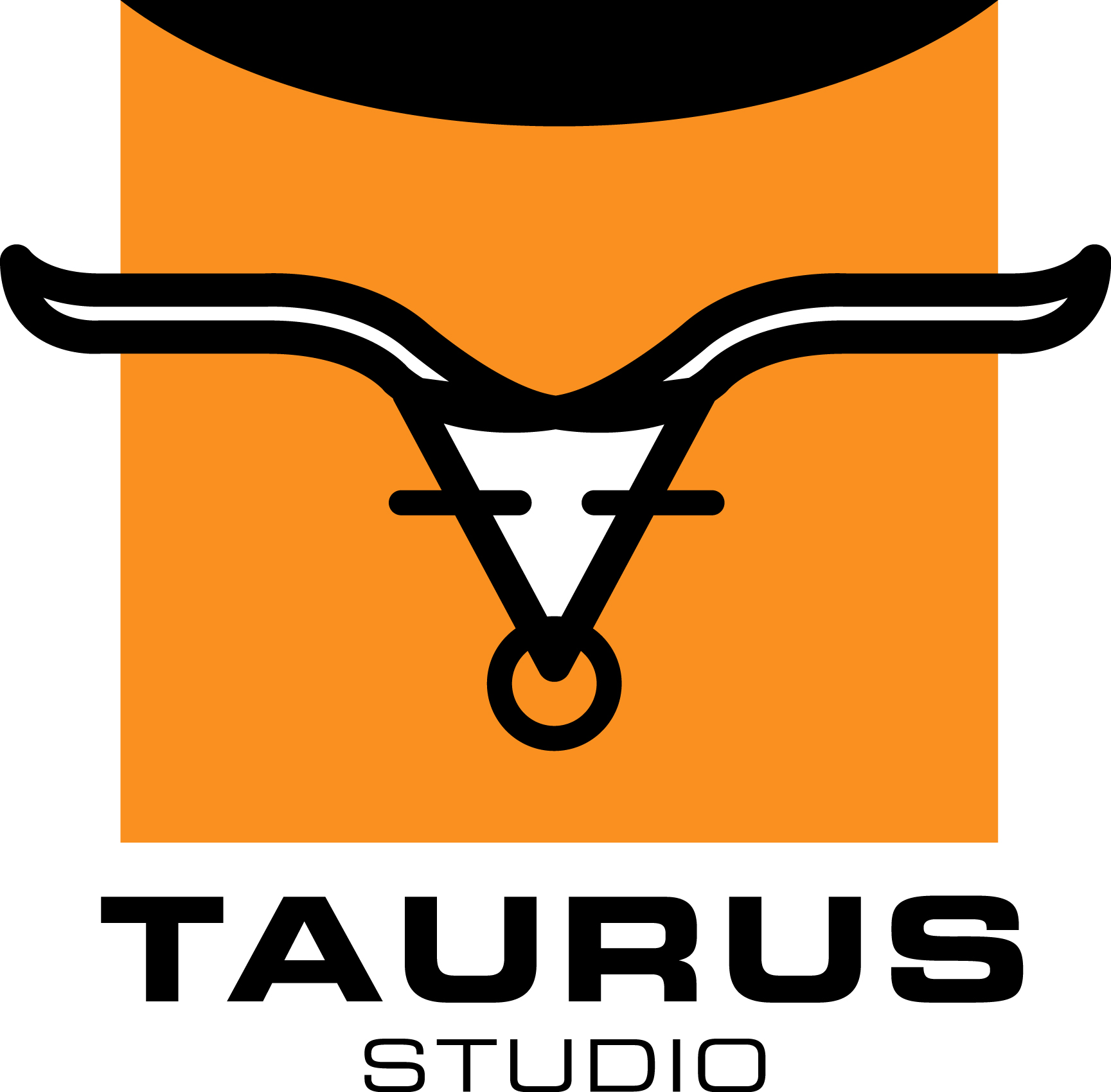 Taurus Studio