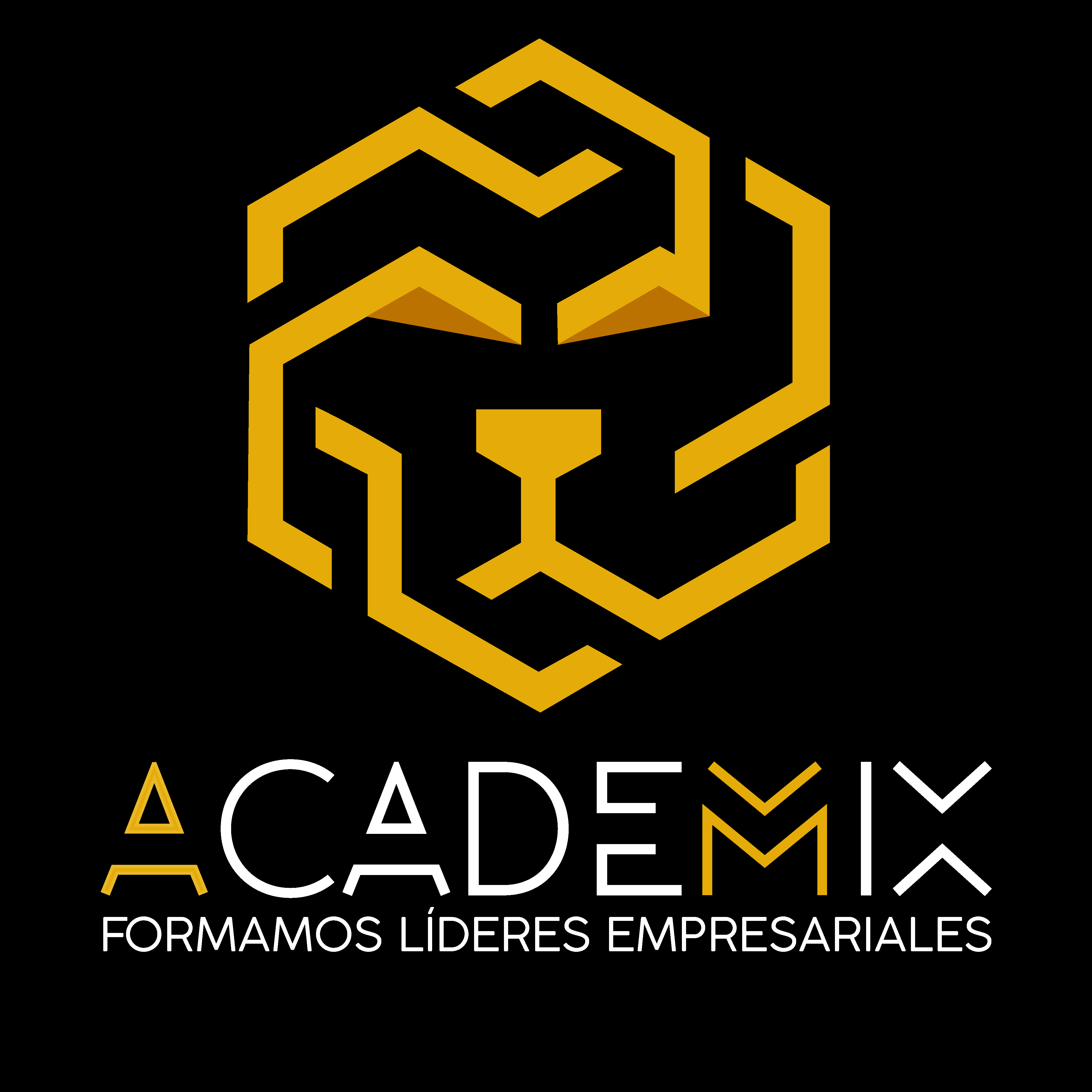 AcadeMix