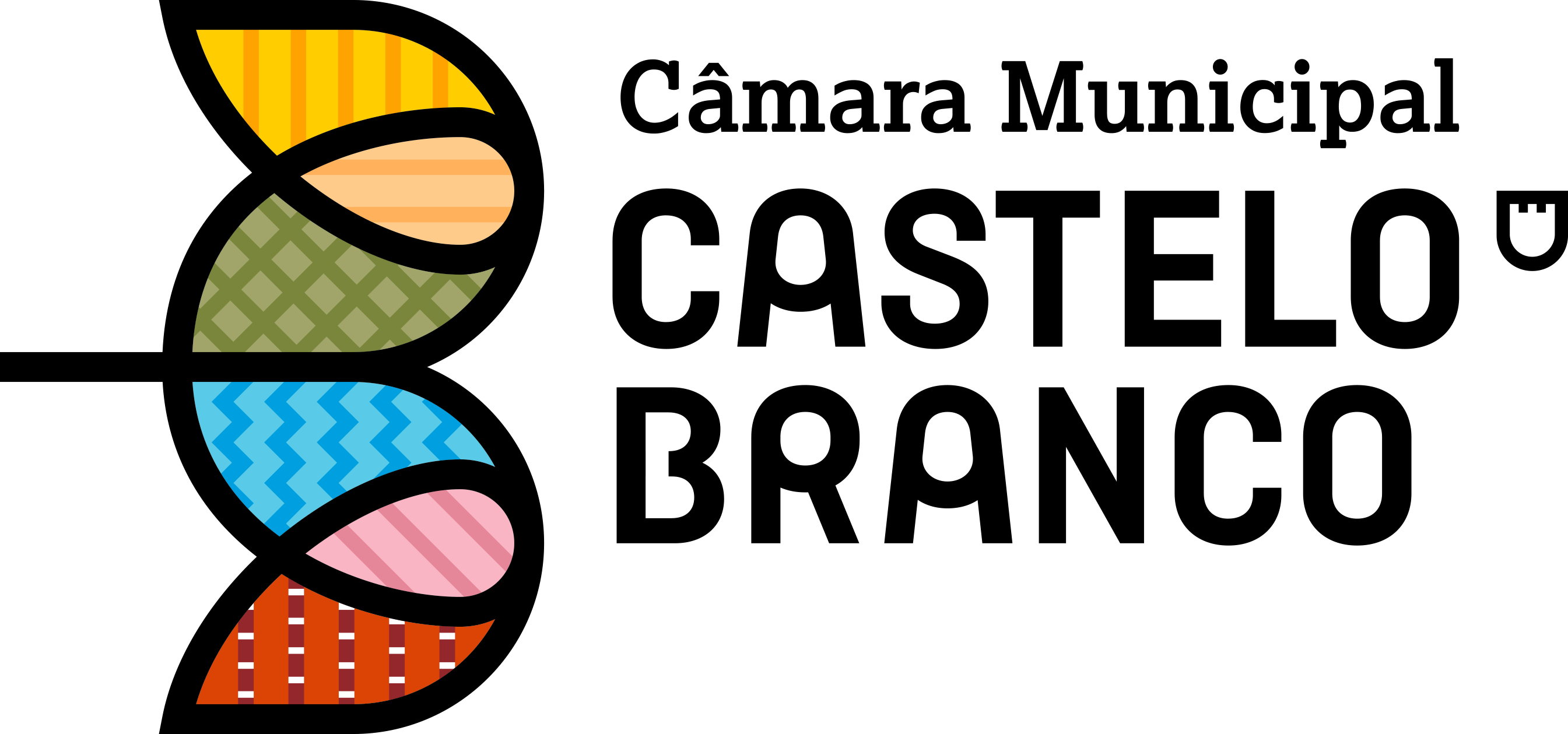 camara-municipal-de-castelo-branco