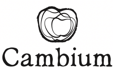 Cambium 